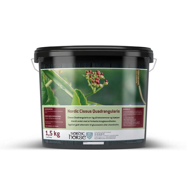 Nordic Cissus Quadrangularis | 500g